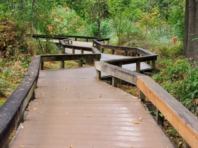 Sunday Morning Sidewalk: Path less traveled