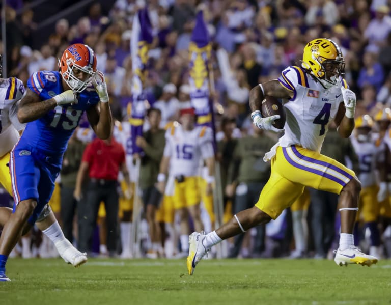 Gallery LSU vs Florida BVM Sports