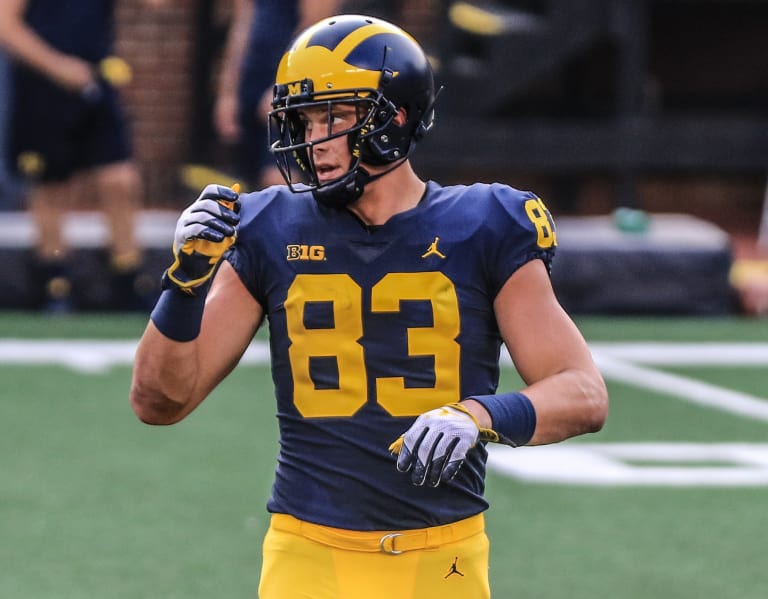 Pittsburgh Steelers tight end Zach Gentry (83) during an NFL