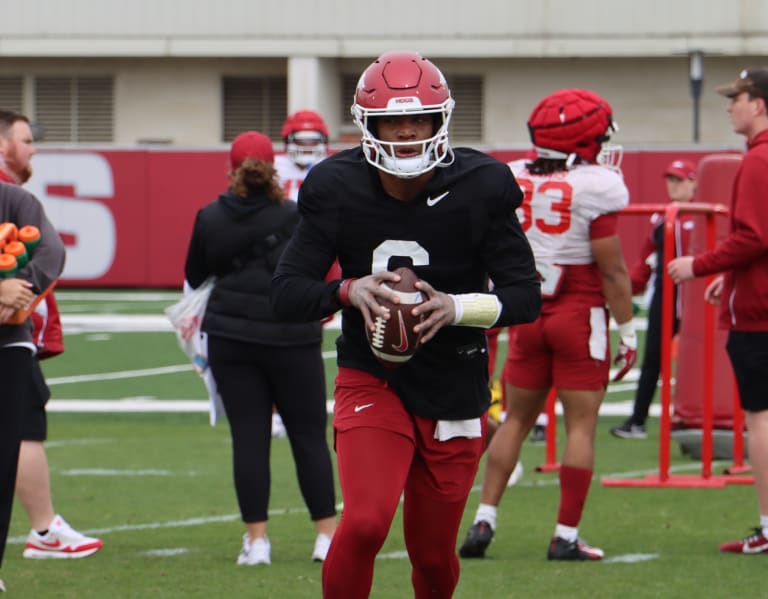 Jacolby Criswell proves to be much-needed piece to Arkansas' puzzle