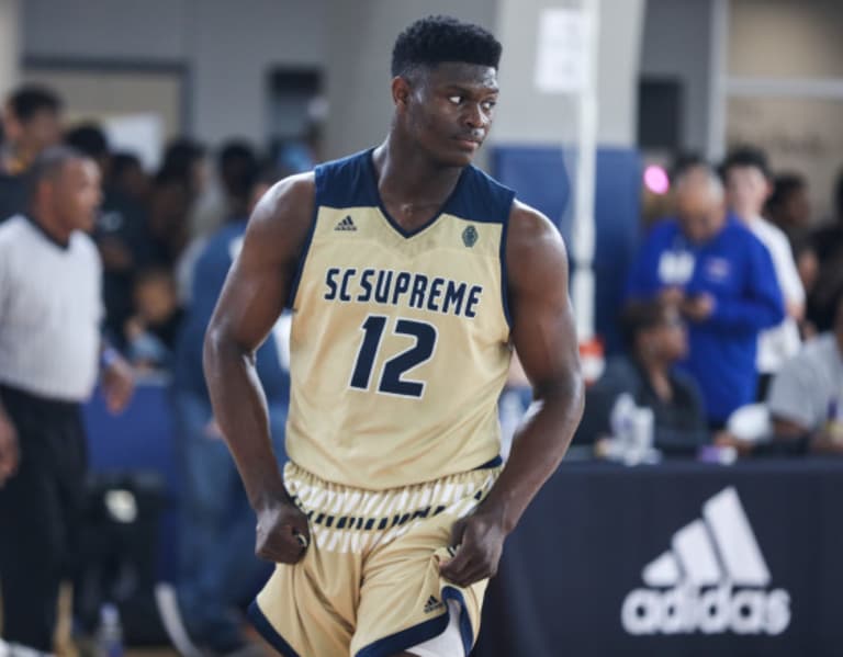 Adidas on sale zion williamson