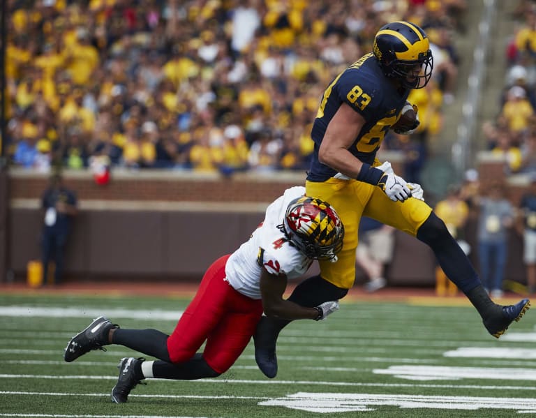 Michigan Wolverines Football: Tight End Zach Gentry Emerging As Star -  Maize&BlueReview