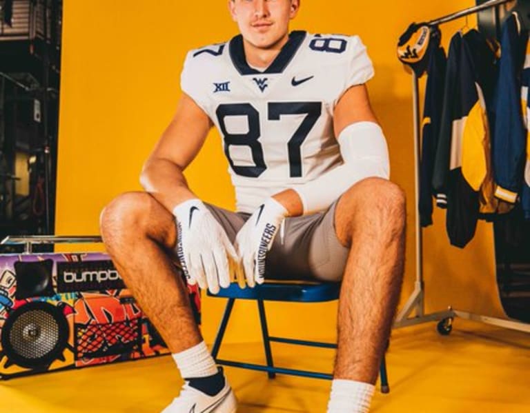 LSU transfer tight end Taylor commits to West Virginia football