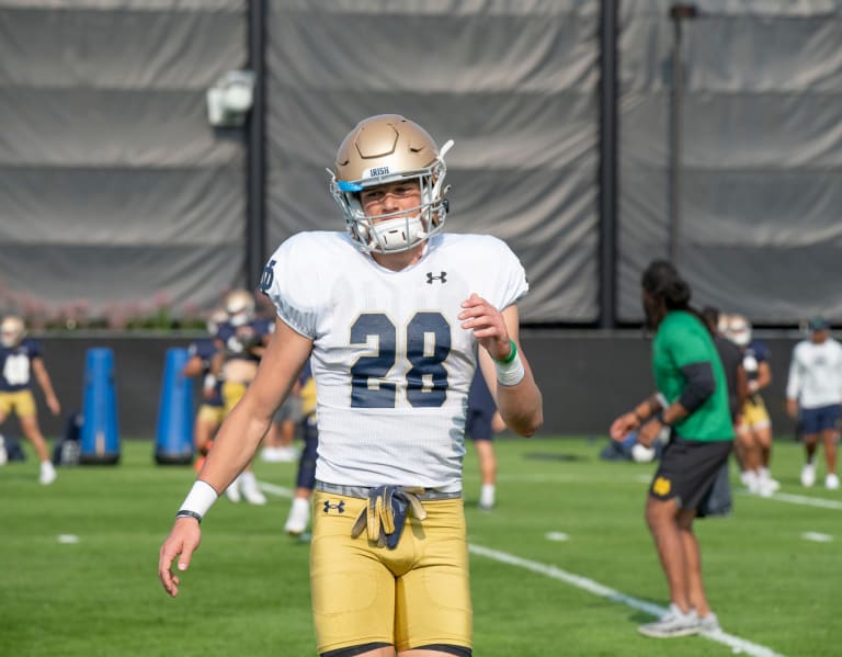 PFF still thinks really highly of former Notre Dame safety