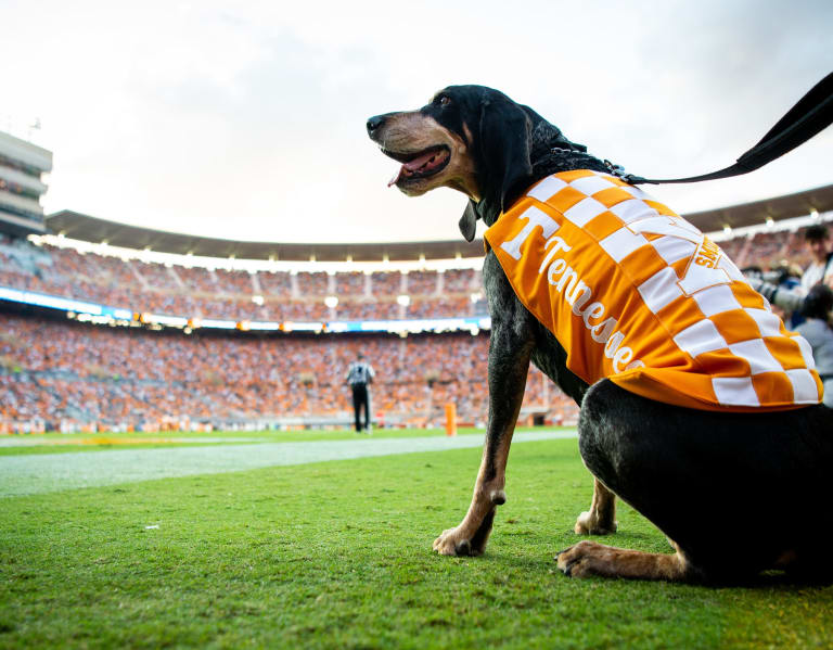 Vols at Gators set for 3:30pm Eastern on CBS