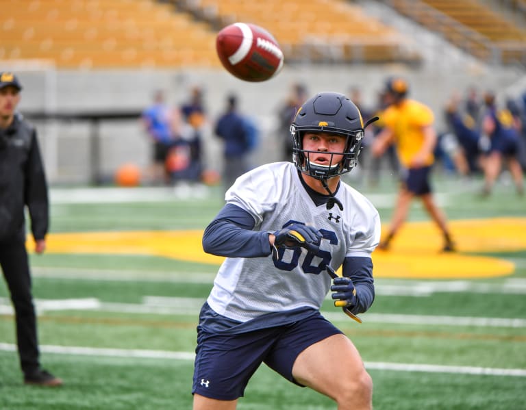 Cal Football: Golden Bear Roster Rundown, No. 14 Monroe Young