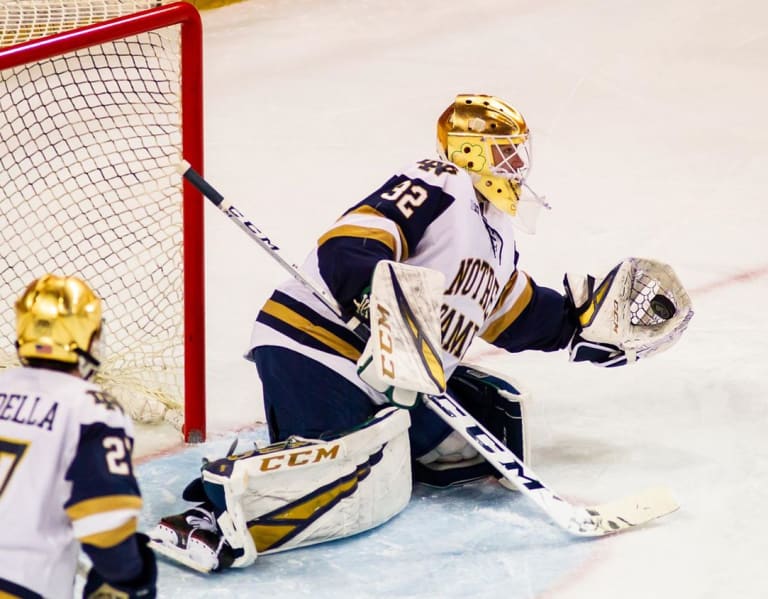 Notre Dame Hockey Repeats As Big Ten Champion - InsideNDSports