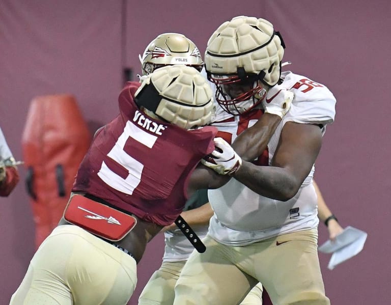 FSU has added 12 transfers this offseason, including several potential