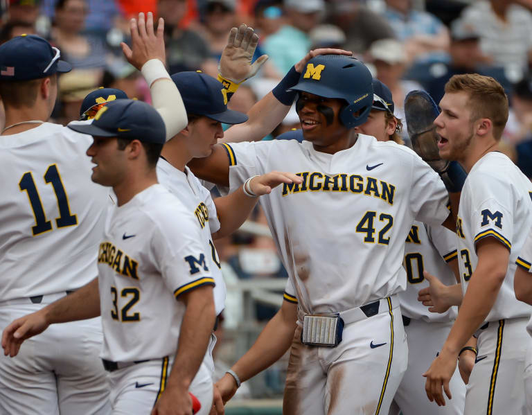 Michigan wolverines hot sale baseball uniforms