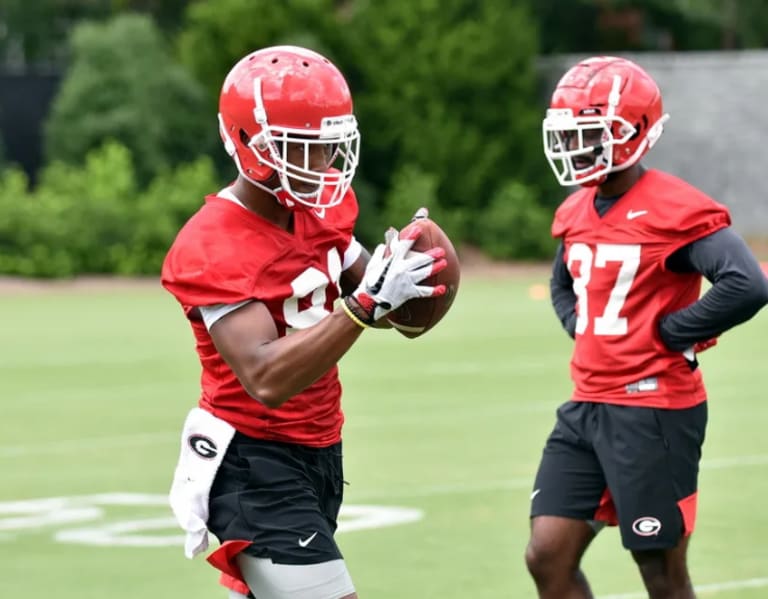 An Influx of Dawgs in the NFL - UGASports