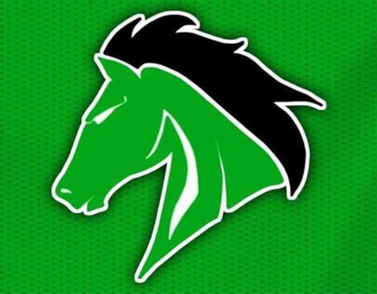 4A Preview: West Stanly Colts