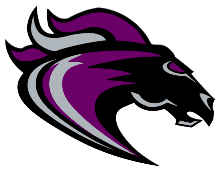 Ridge View football scores and schedule