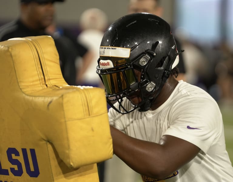 LSU, Brian Kelly Impressed No. 2 All-purpose Back Trey Holly - Death ...