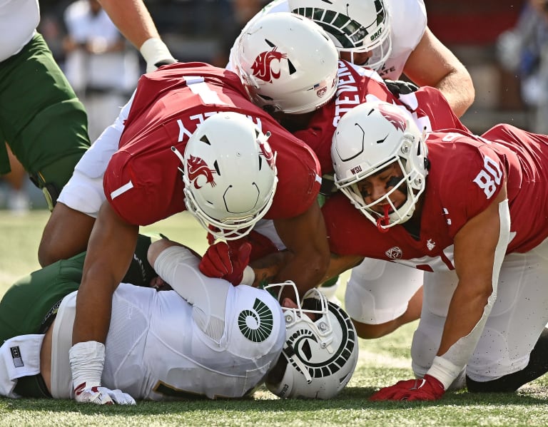 Washington State RB Max Borghi's quickly making a national name for himself