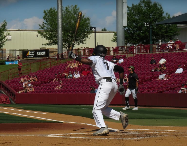 South Carolina Baseball loses first series of the year in