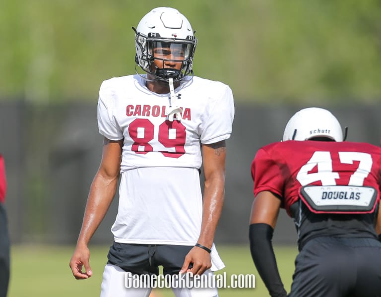 South Carolina Football Gamecocks WR GerCari Caldwell enters transfer