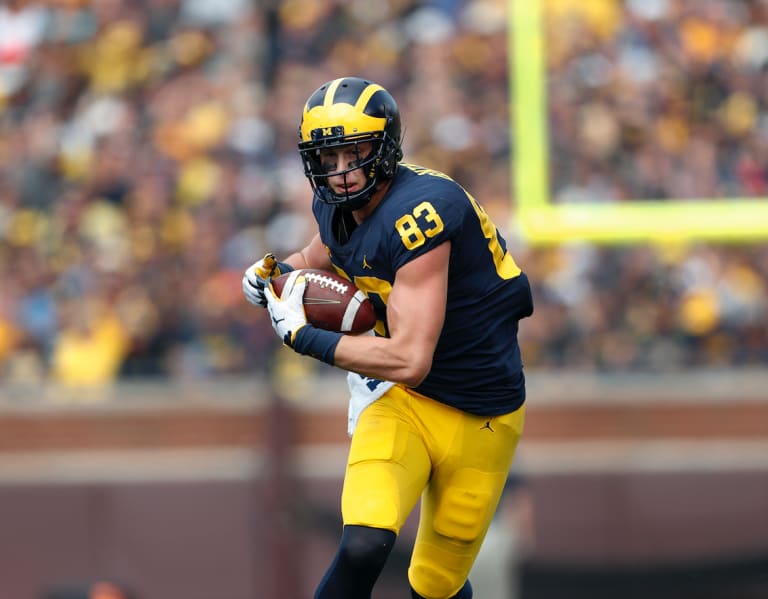 Pittsburgh Steelers draft Michigan football's Zach Gentry in Round 5