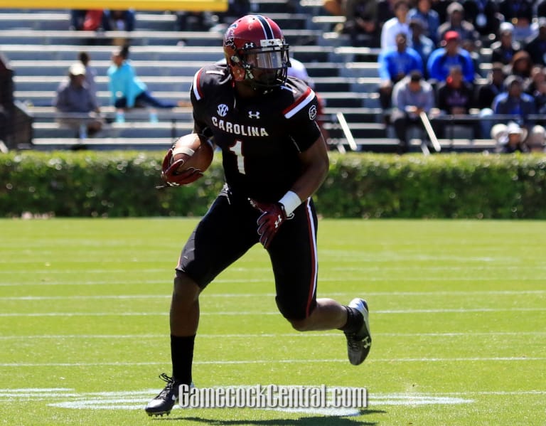 Deebo Samuel's South Carolina career: College football stats