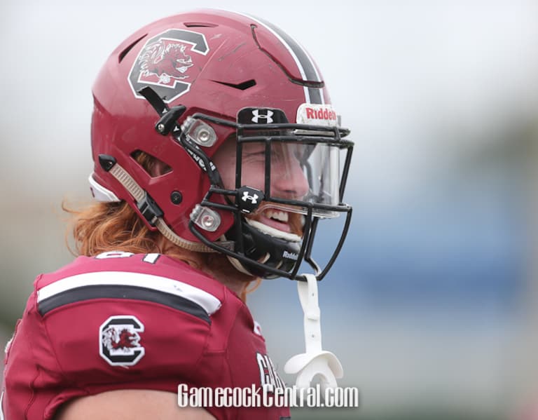 Hayden Hurst: Former Gamecocks TE glad to be back in Carolinas