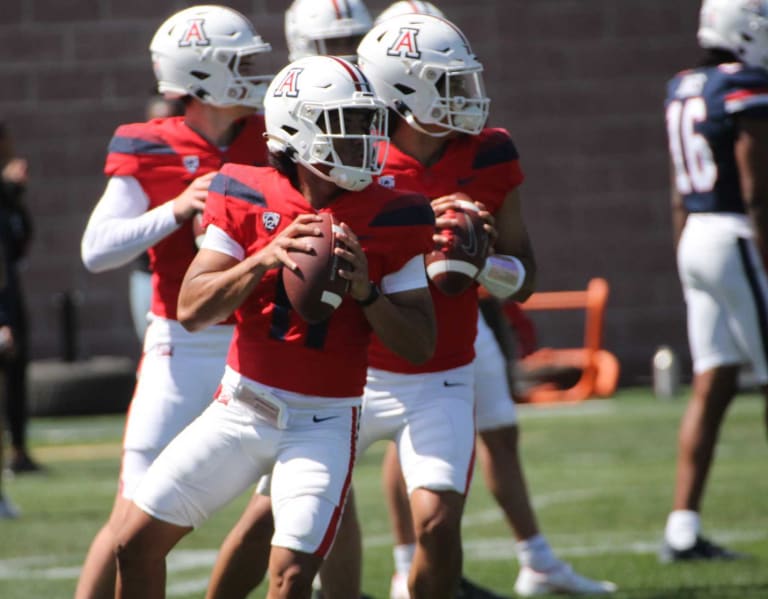 Arizona football position battles secondstring quarterbacks