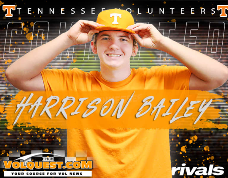 tennessee vols hard hat
