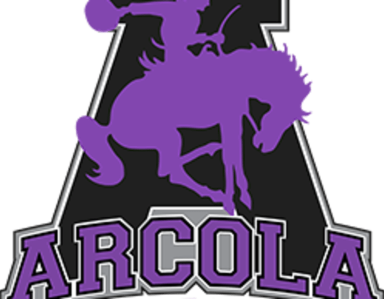 2024 Team Preview: Arcola Purple Raiders - EdgyTim: Illinois HS Sports ...