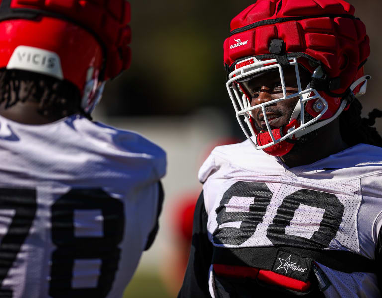 Marvin Jones Jr., Jalon Walker poised to make most of new opportunities for  Georgia football