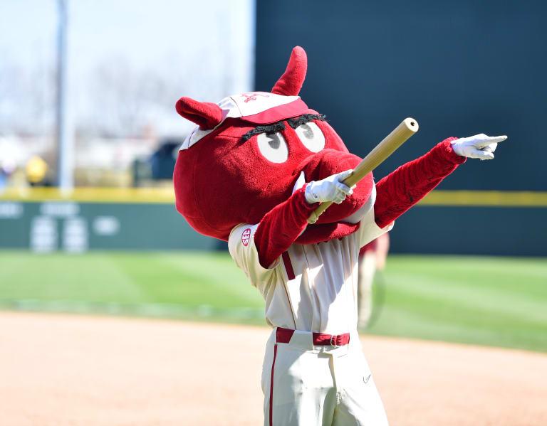 This Baseball Mascot Was Struck Out By The Coronavirus Pandemic