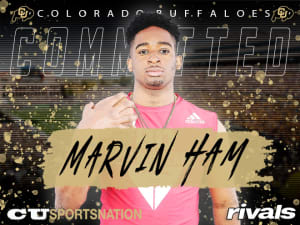 Michigan LB Marvin Ham makes the call for Colorado