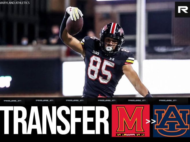 Tigers land tight end transfer