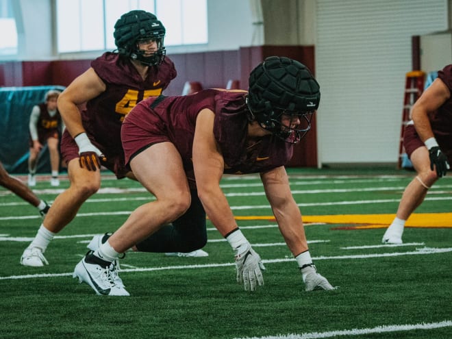 Minnesota DE Hayden Schwartz to enter transfer portal