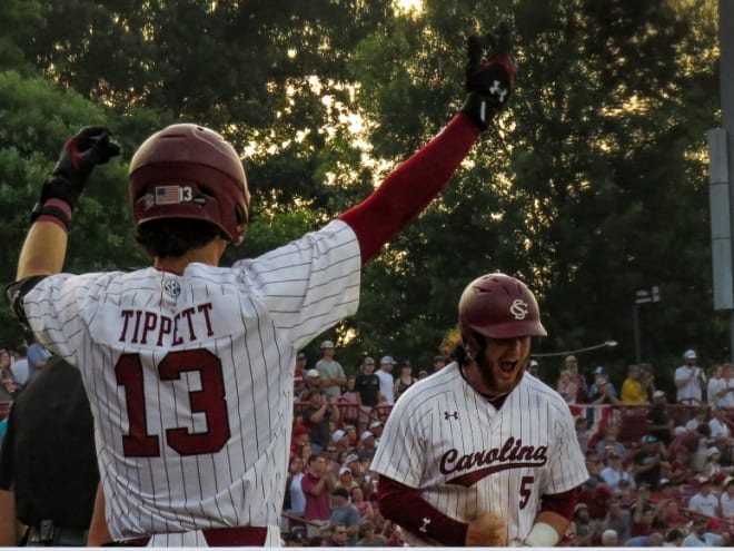 Will Tippett's four-hit game leads Gamecocks to 14-4 win