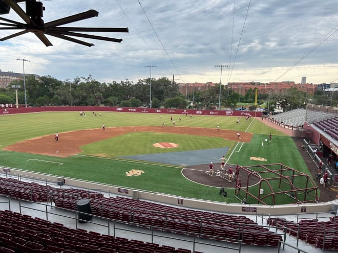 Live Updates: FSU baseball closes out fall camp with Garnet & Gold Game