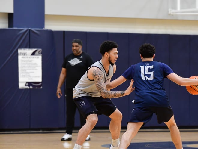 Hoya Practice Report:  11.8.24