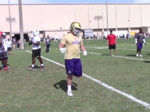 Quick Look: William Norton
