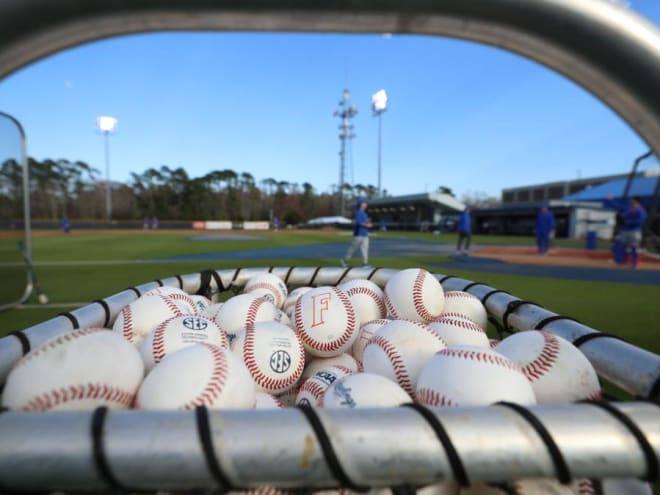 Florida Gators 2024 Baseball Transfer Class