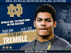 SIGNED: TE Tommy Tremble