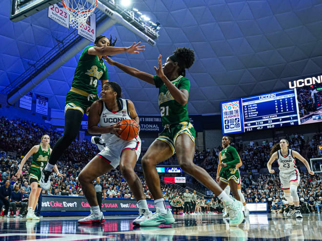 Younger stars have defined UConn’s success in four programs