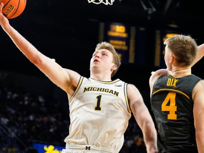 What to know about the Michigan Wolverines