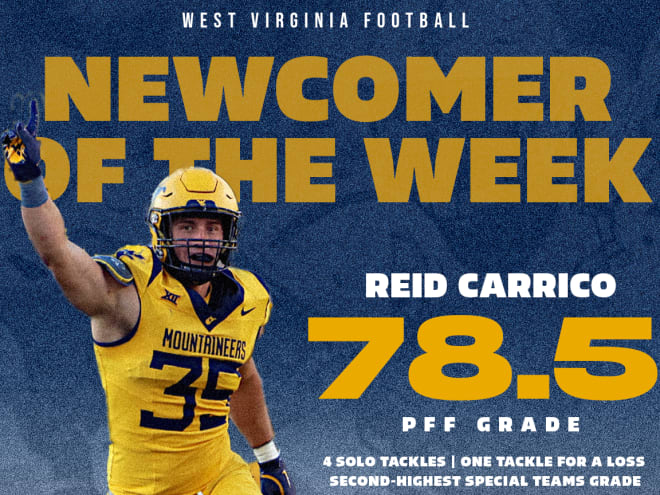 Newcomer of the Week: Reid Carrico