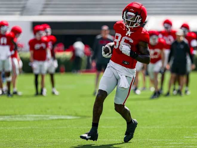 What to expect: Dillon Bell
