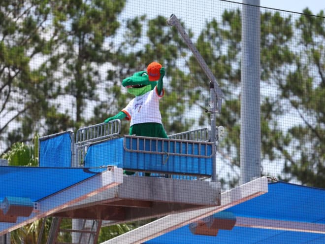 Florida Softball Launches Mini-Plan Options