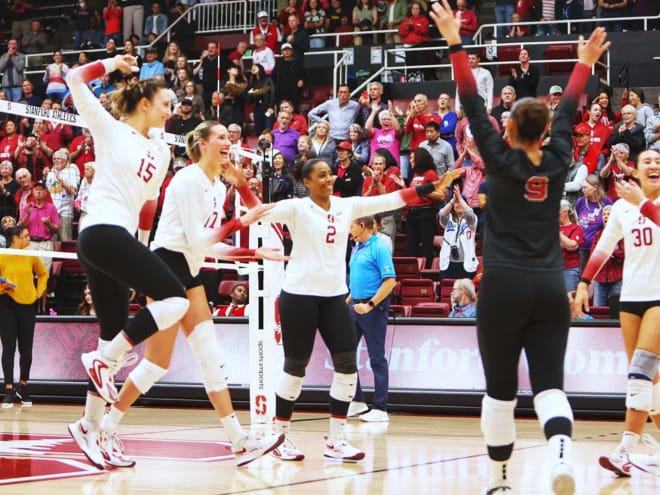 Preview: No. 7 Stanford WVB welcomes No. 3 Louisville to Maples