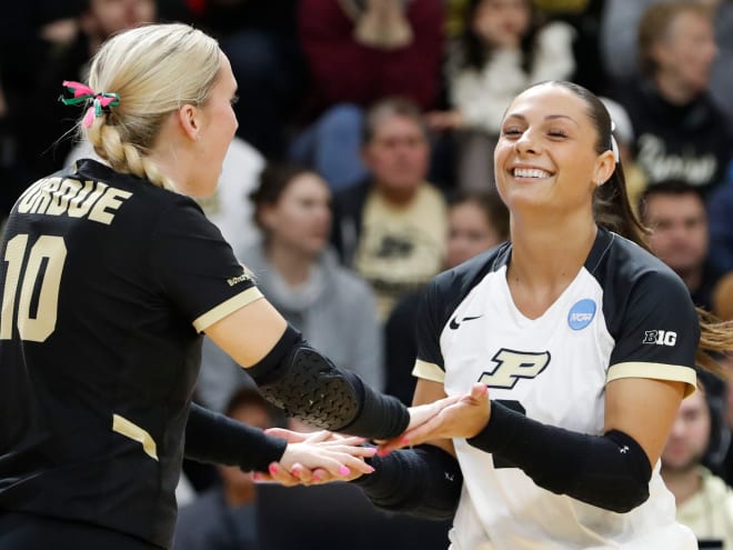 Former Purdue volleyball stars find new homes, transfers fill voids