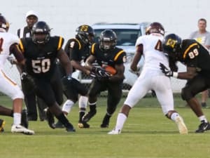 Dillon freshman running back takes another look at South Carolina football