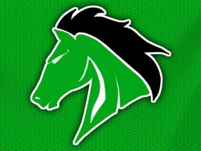 4A Preview: West Stanly Colts