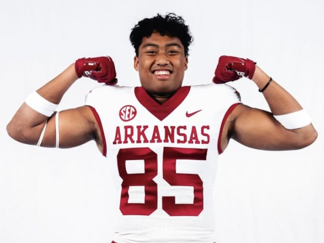 How Arkansas addressed tight end position in transfer portal