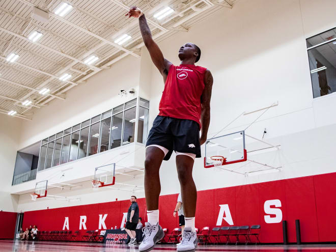 Arkansas basketball player profile: Johnell Davis