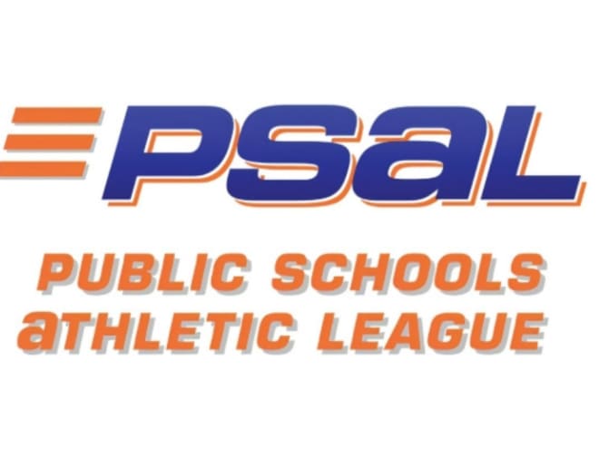 PSAL Young Stars