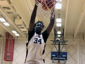 Class of 2018 Bol Bol highlights from USA Basketball training camp